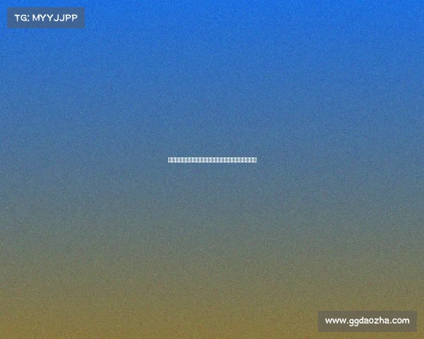 专业赛事推荐盛会汇聚全球精彩活动资源引领行业新篇章