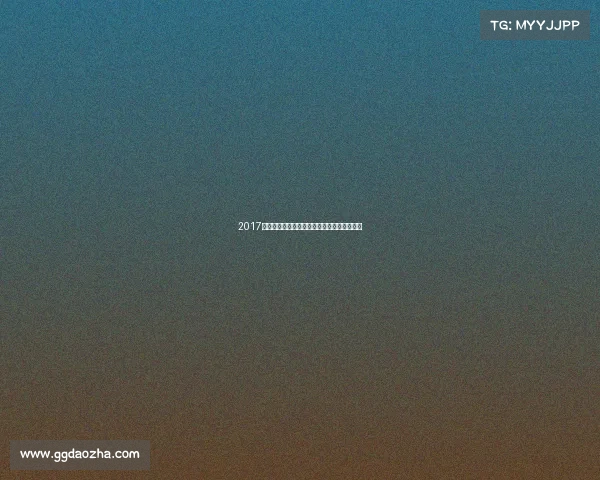 2017上海排球盛宴全球顶尖选手激情对决荣耀时刻