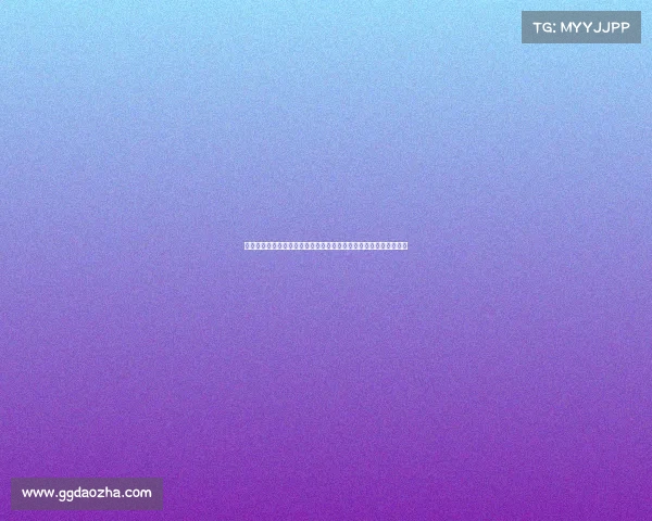 深度剖析大型体育赛事执裁全过程真实记录裁判视角关键时刻与决策